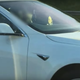 Illustration for article titled Tesla Driver Banned From Highway After Being Caught In The Passenger Seat